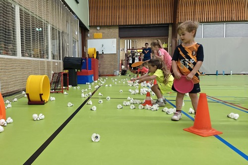 Bad-Mini-ton en Badminton
