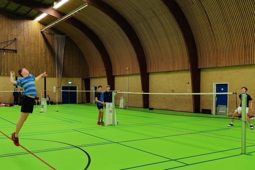 Bad-Mini-ton en Badminton