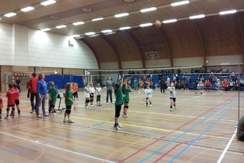 Volleybal