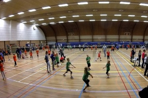 Cool Moves Volleybal 