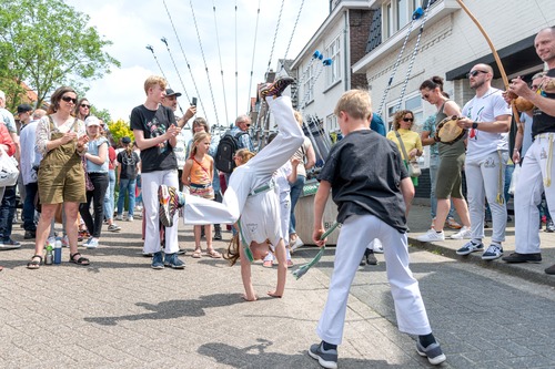 Capoeira dans/gevecht